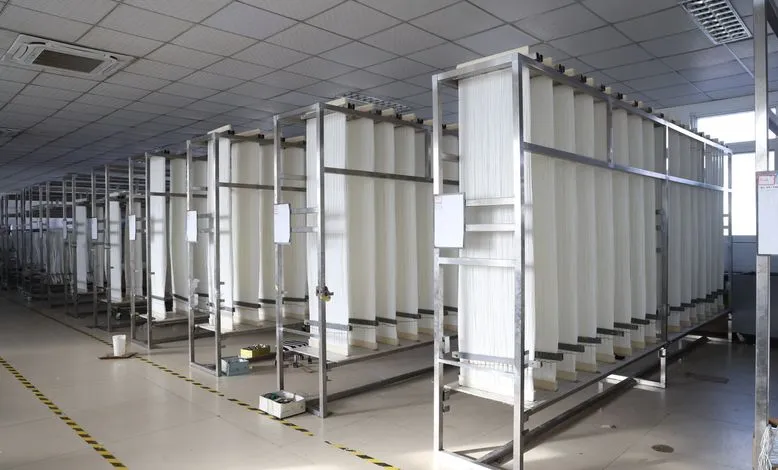 Hollow Fiber MBR Membranes: Revolutionizing Wastewater Treatment