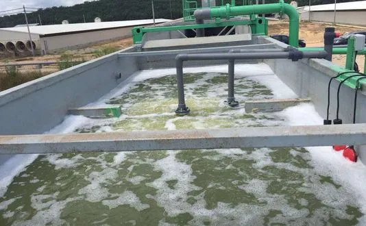 Chicken Farm Wastewater Treatment Project in Malaysia