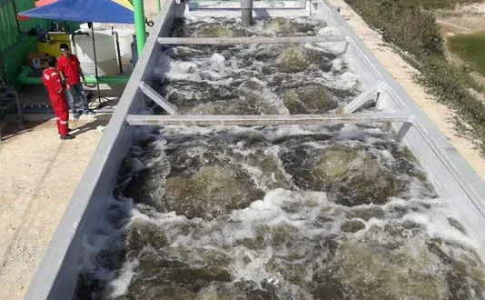 Chicken Farm Wastewater Treatment Project in Malaysia