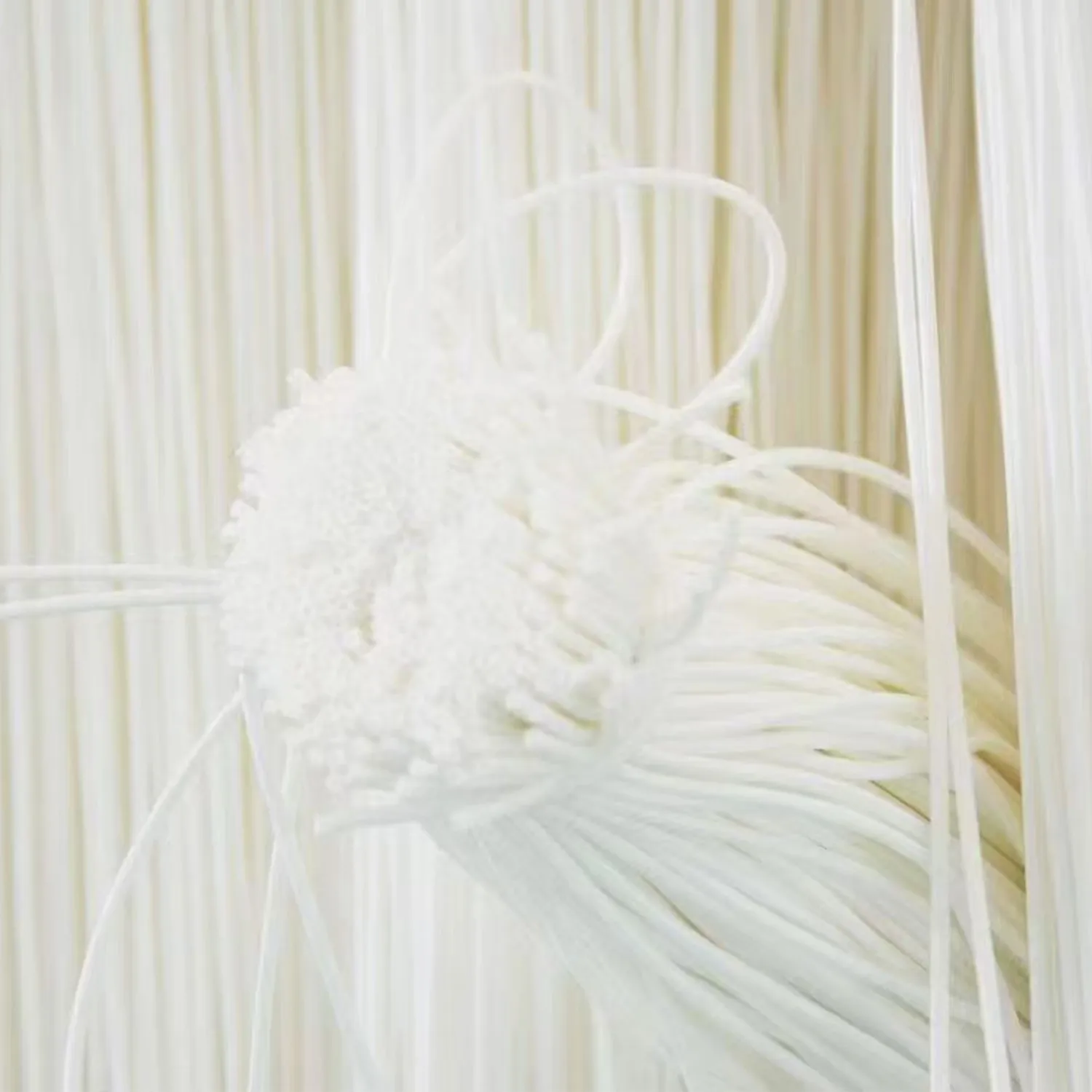 PVDF Hollow Fiber Membrane Element